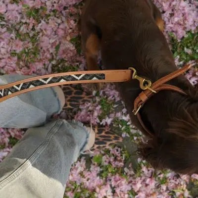 Sierra Leather Leash - Noir