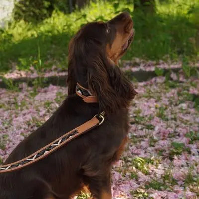 Correa de Cuero Sierra