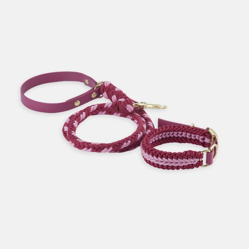 Burgundy Rose Leash - Catalina