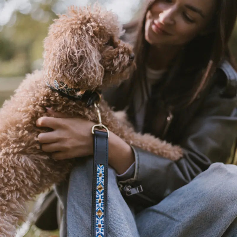 Sierra Leather Leash - Blue