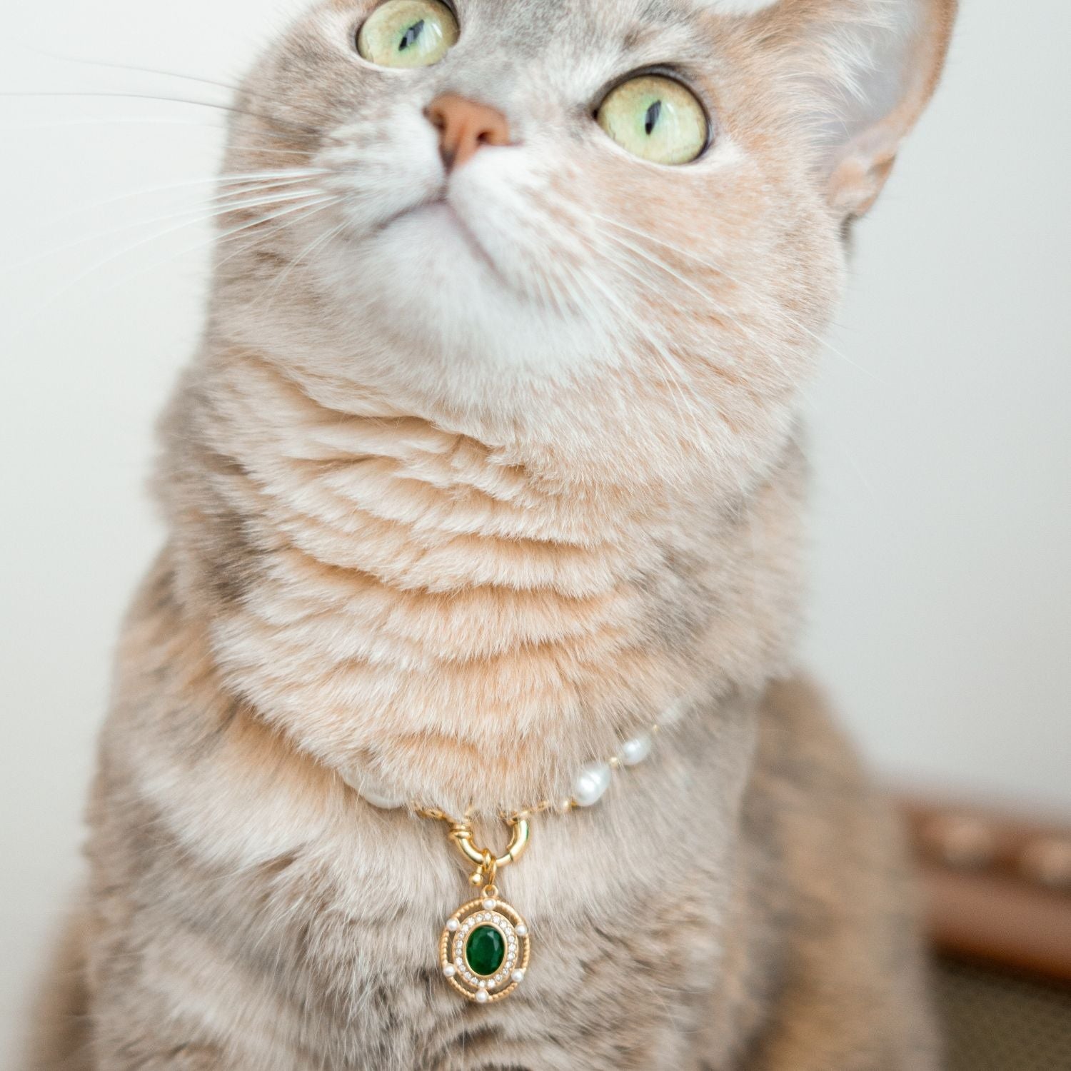 Luxury Pearl Pet Necklace – Gold-Plated Details