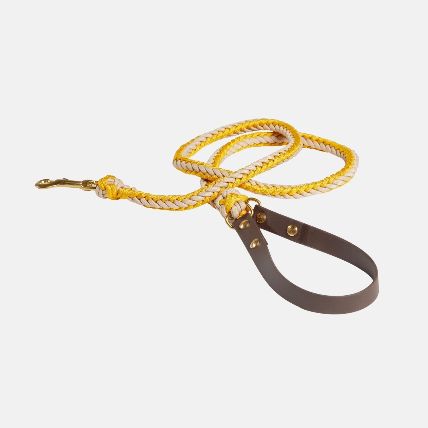 Yellow Leash - Catalina