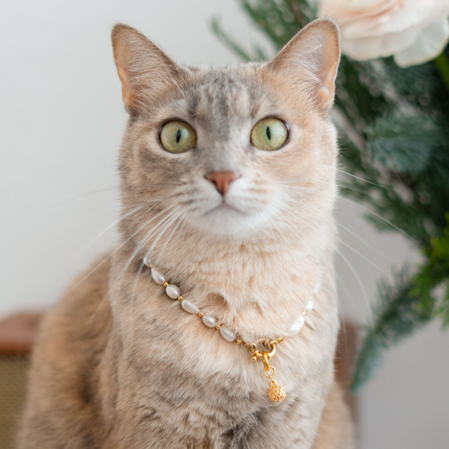 Luxury Pearl Pet Necklace – Gold-Plated Details
