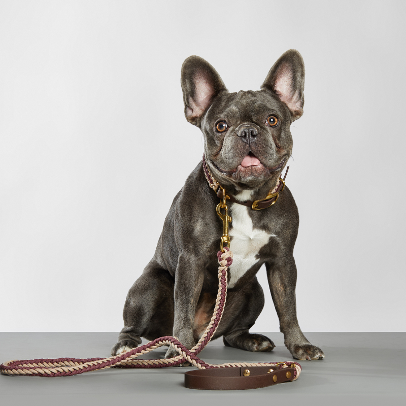 Celia Wine Leash