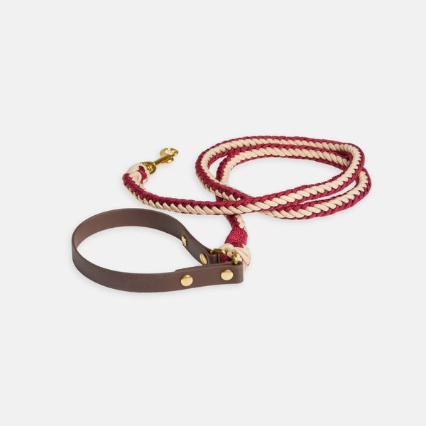 Red Leash - Catalina