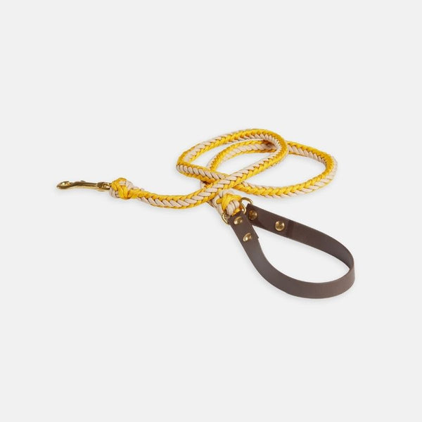 Yellow Leash - Catalina