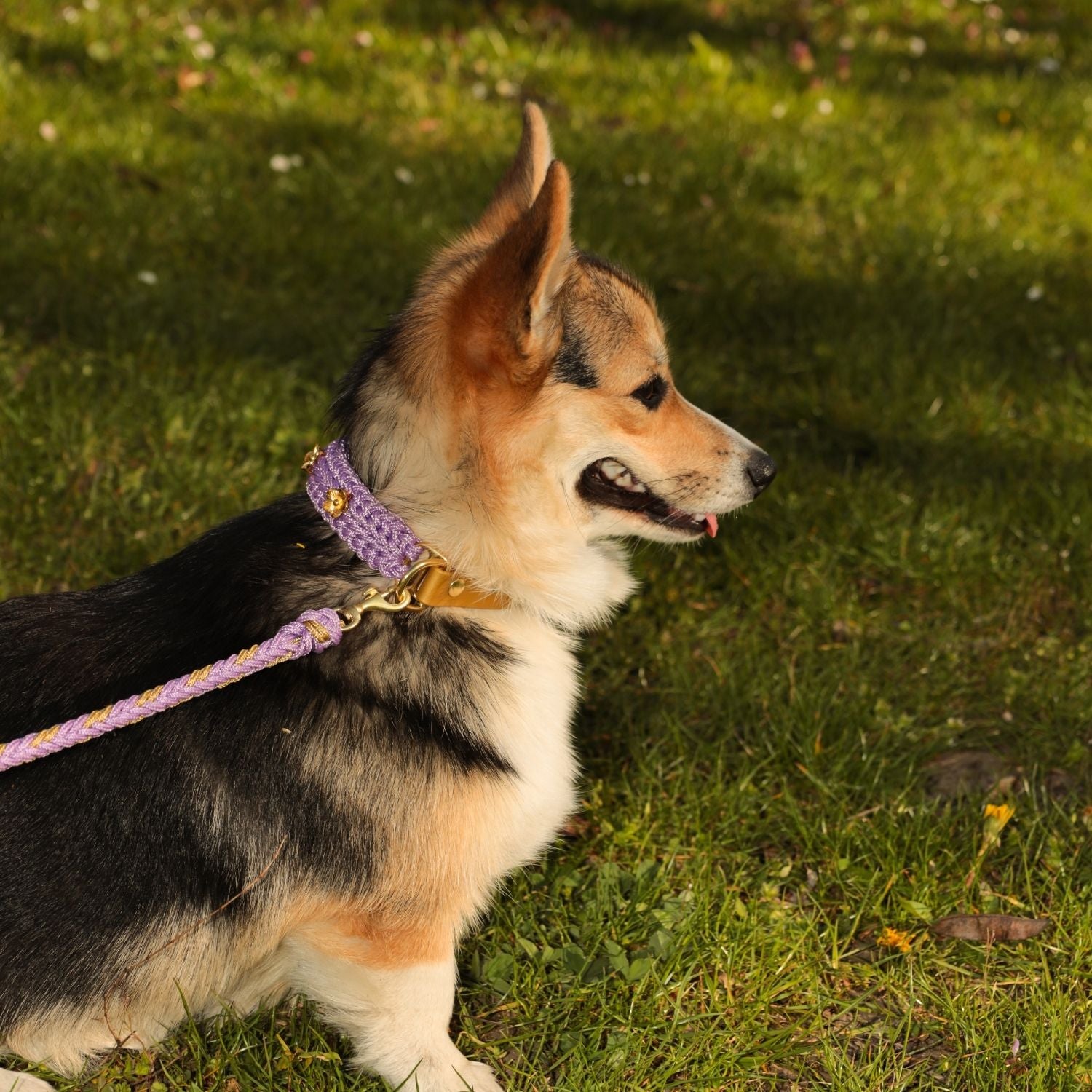 Flor Lavender Leash