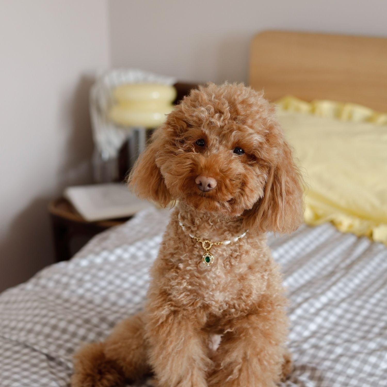 Freshwater Pearl Necklace