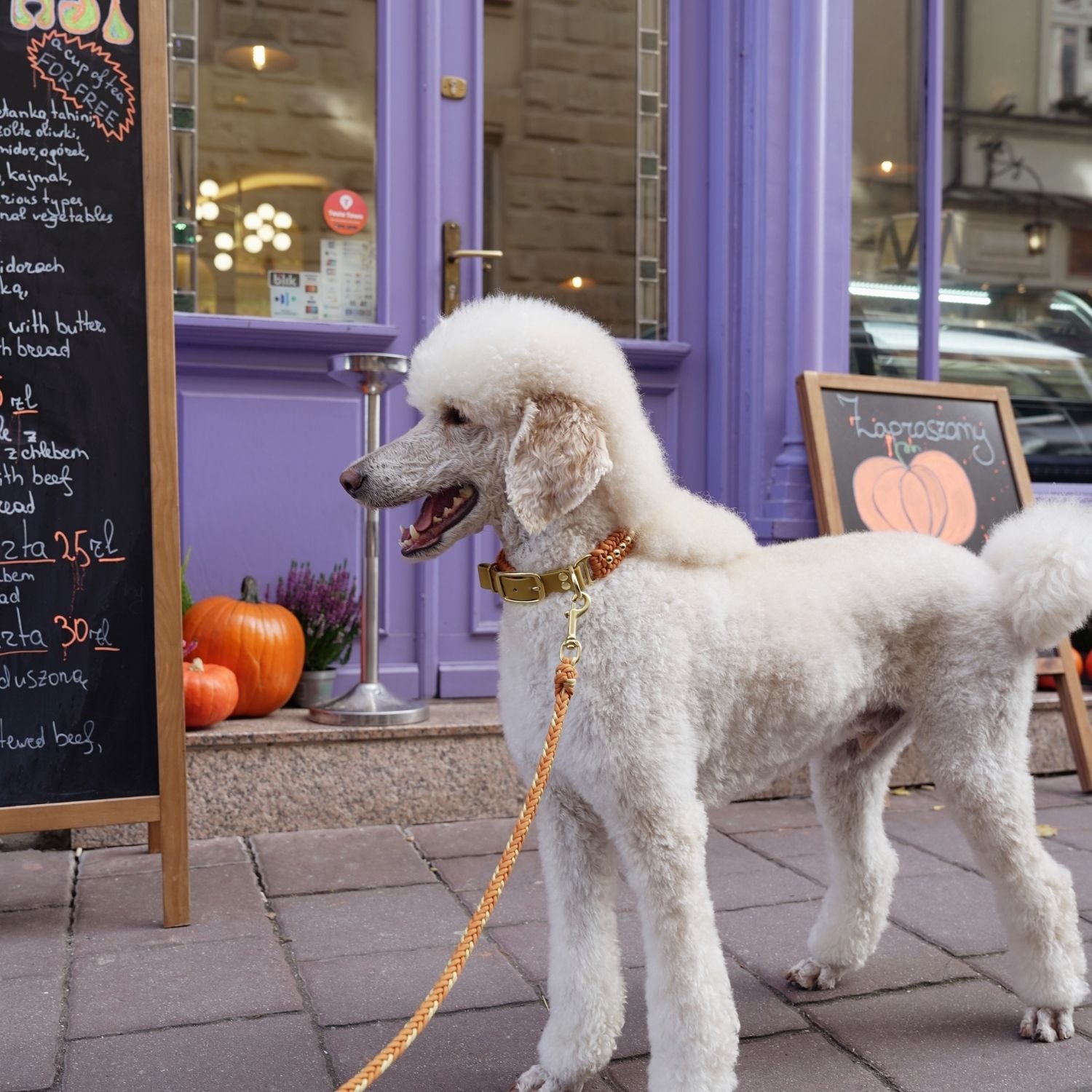 Valentina Terracotta Leash