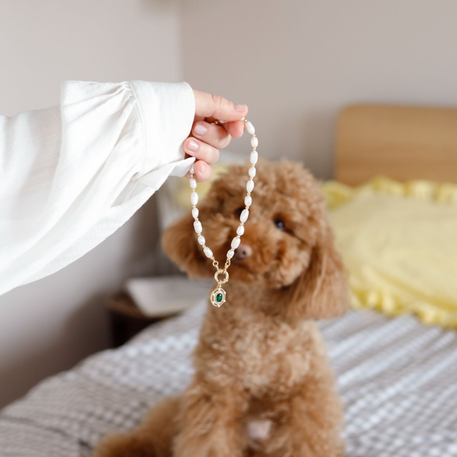 Freshwater Pearl Necklace