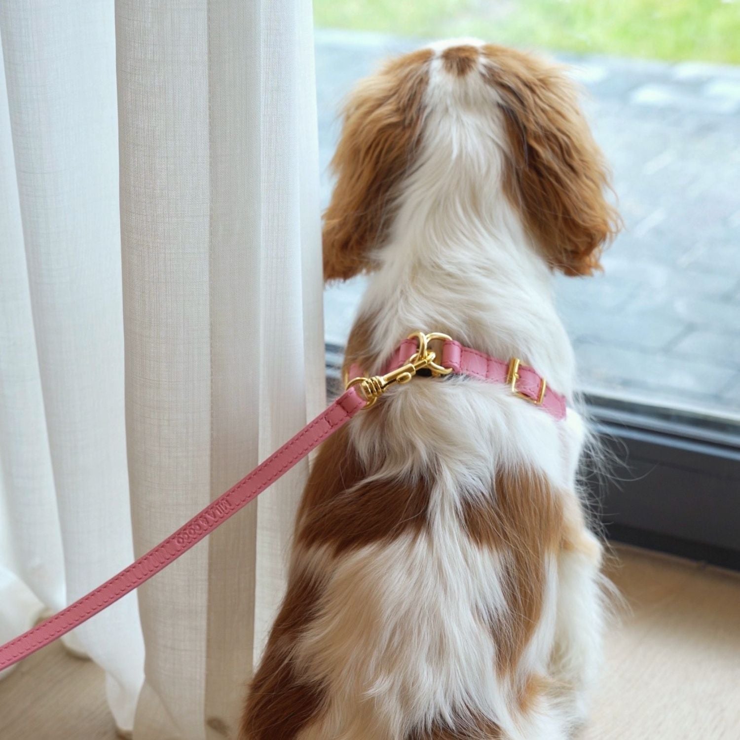 Italian Leather Harness – Pink & Gold