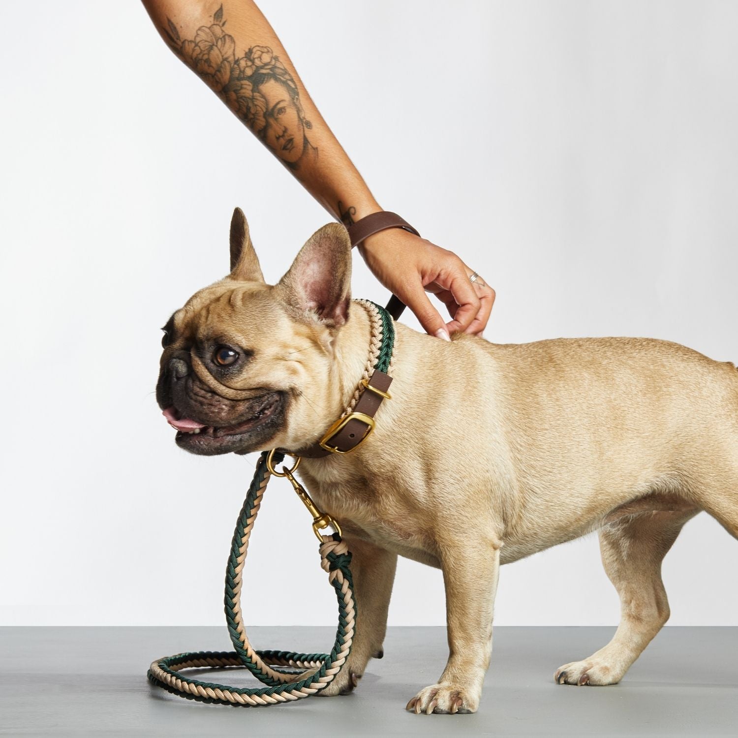 Dark Green Leash - Catalina