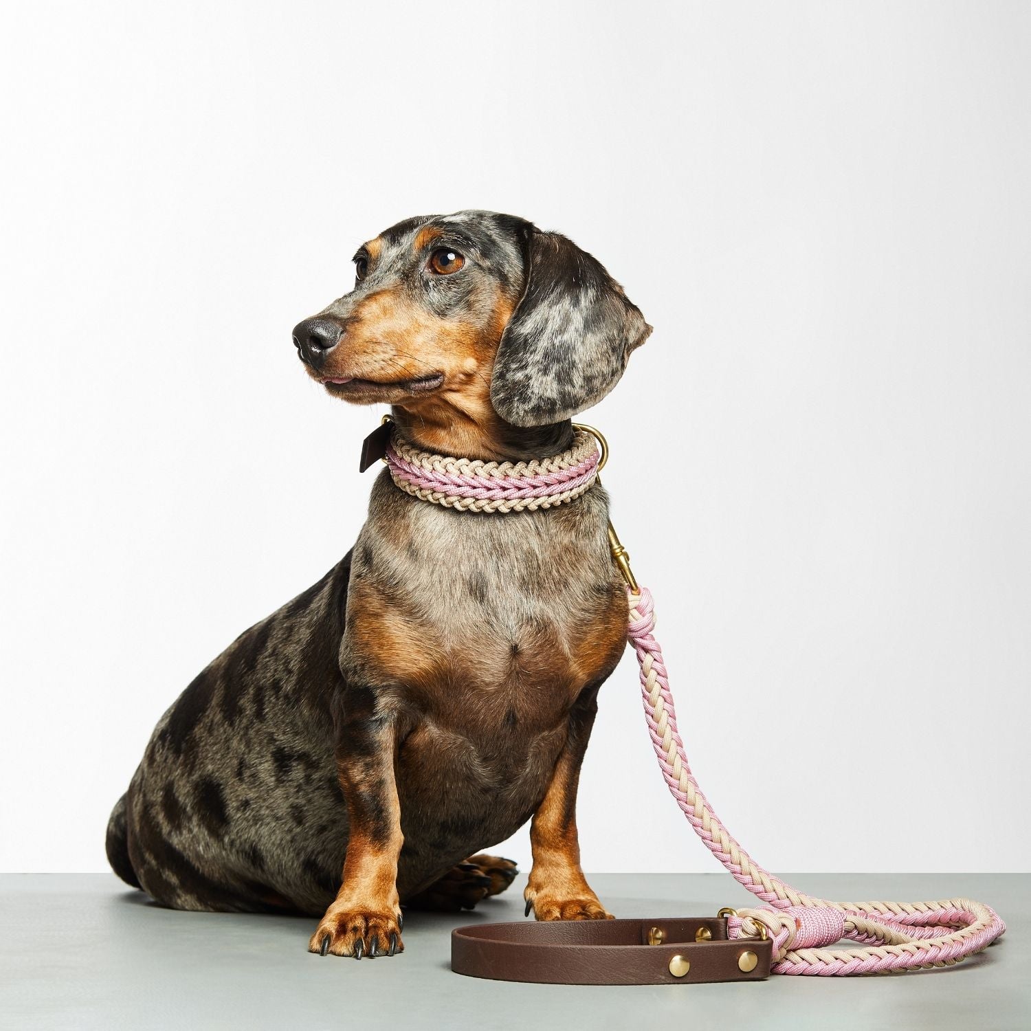 Blush Pink Leash - Catalina