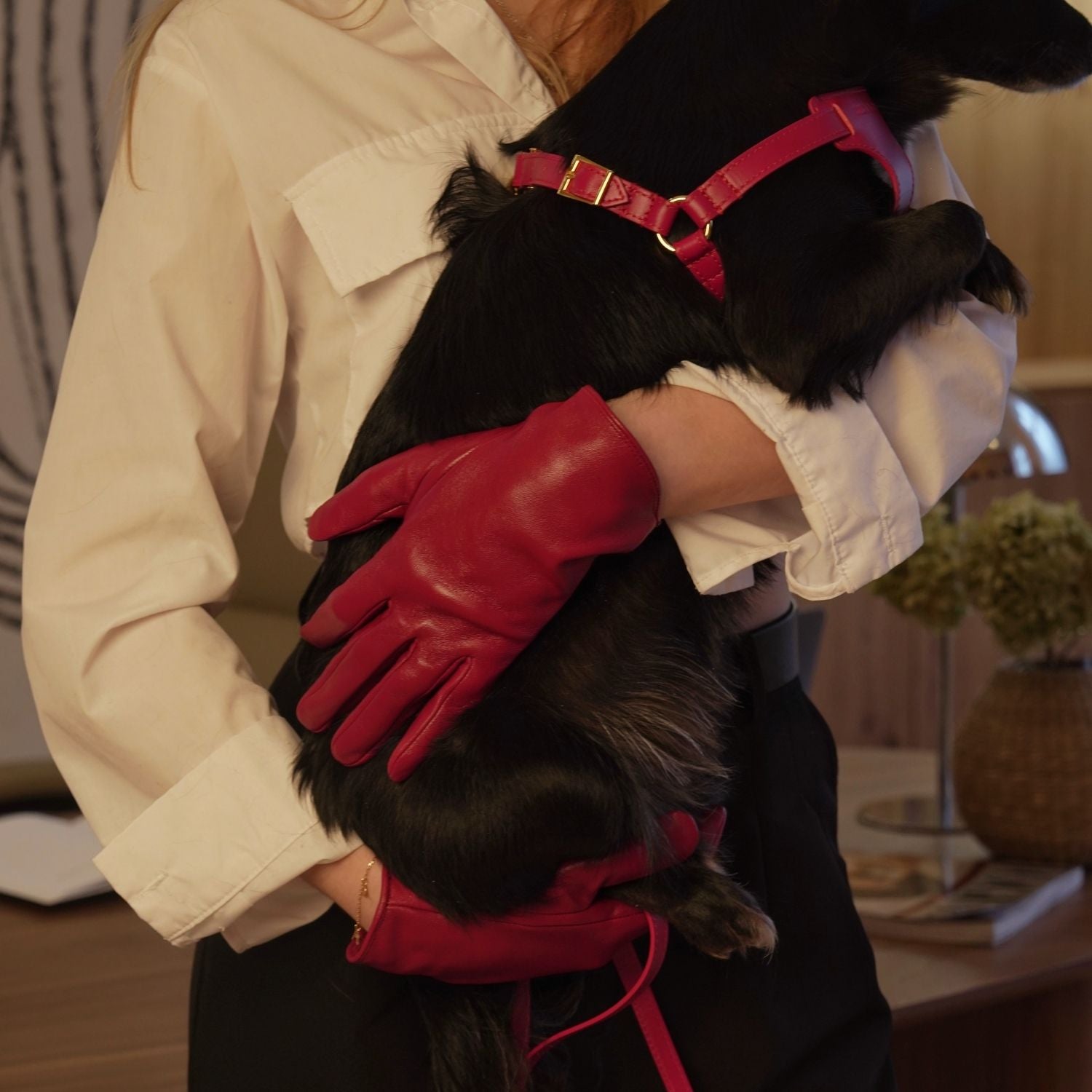 Italian Leather Harness – Burgundy & Gold