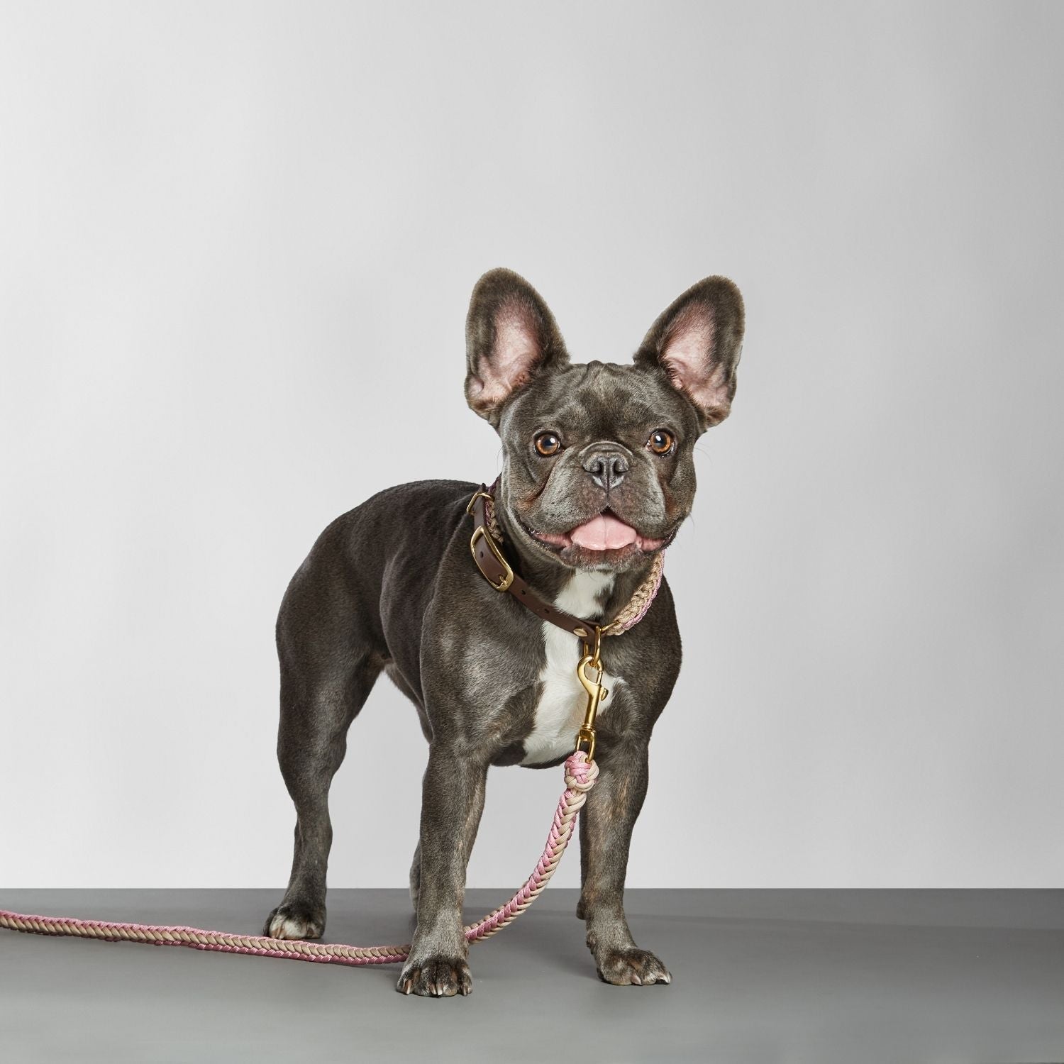 Blush Pink Leash - Catalina