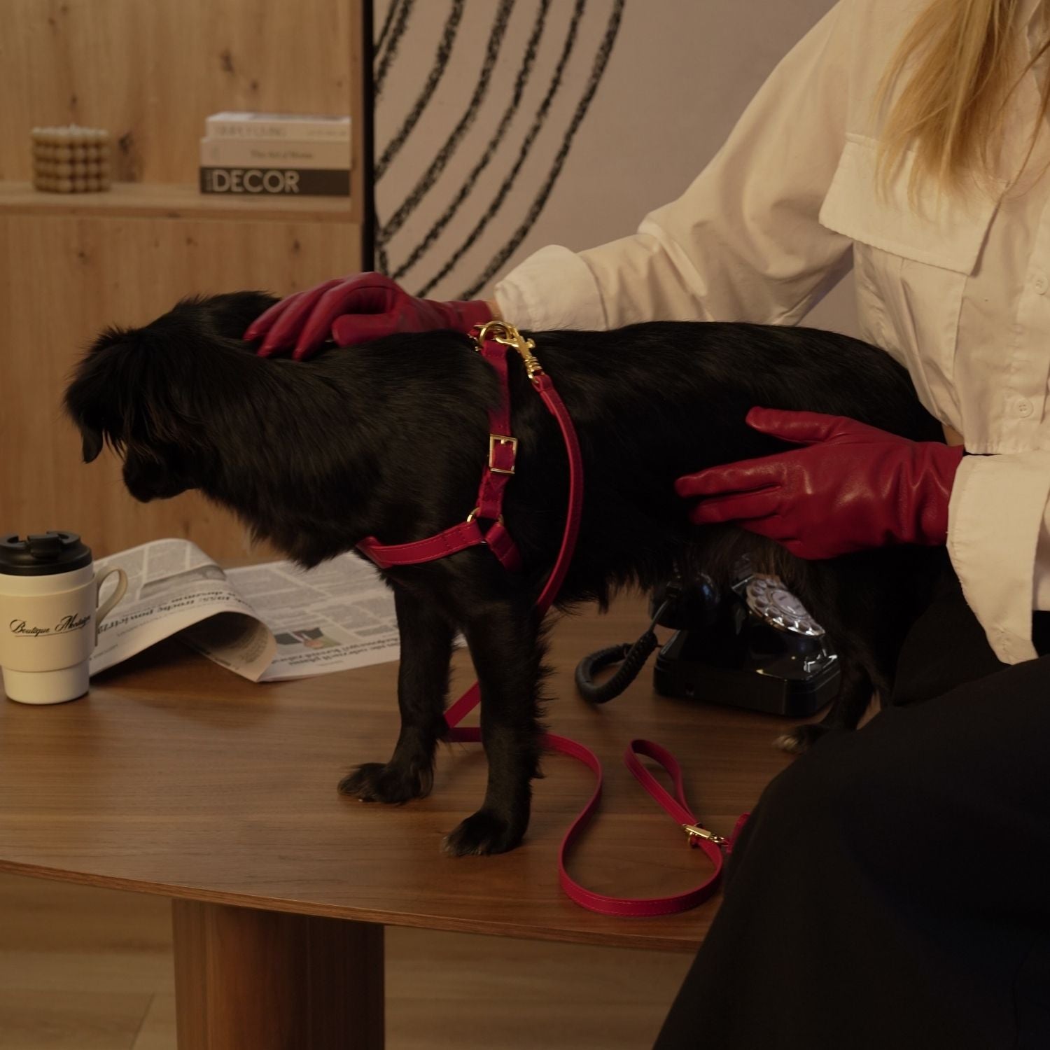 Italian Leather Harness – Burgundy & Gold