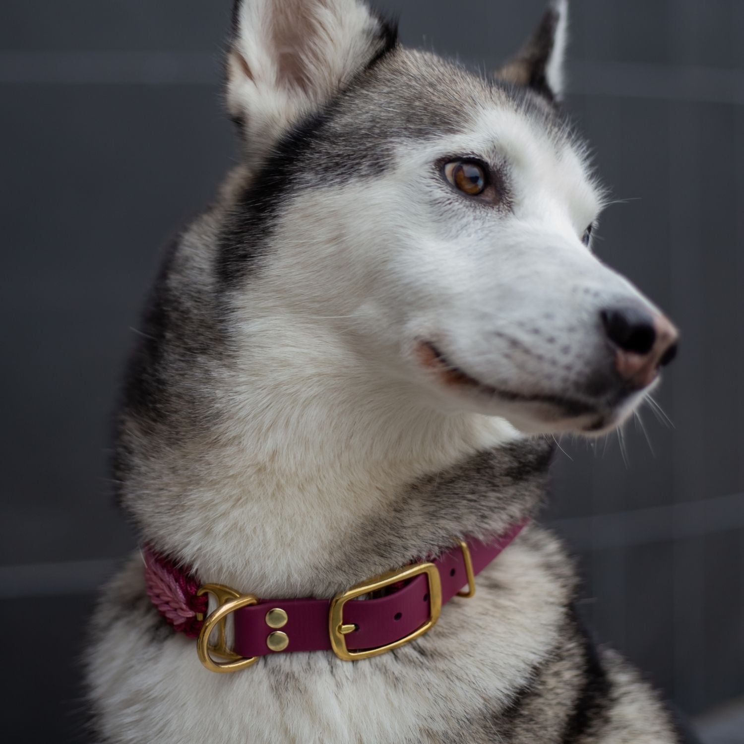Esmeralda Pastel Collar