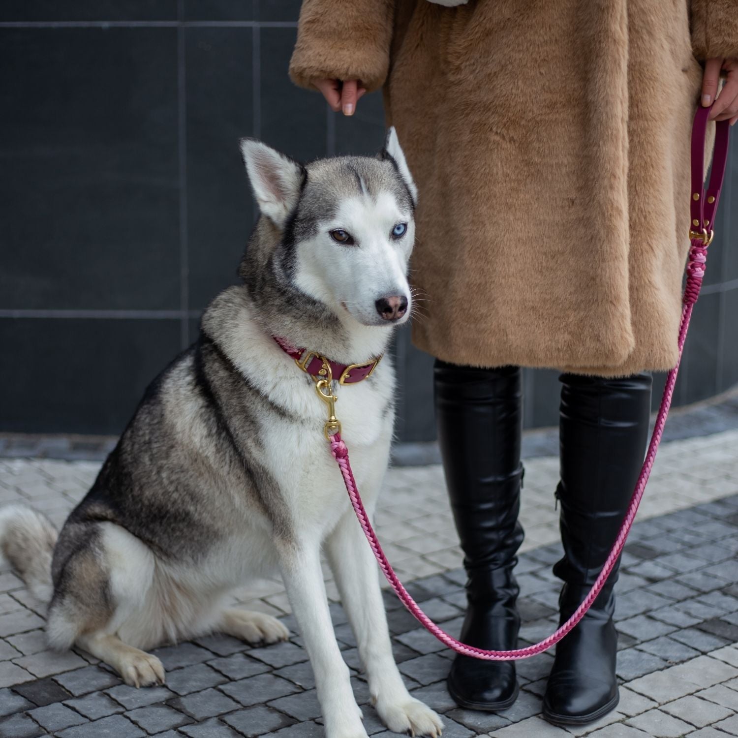 Esmeralda Pastel Leash