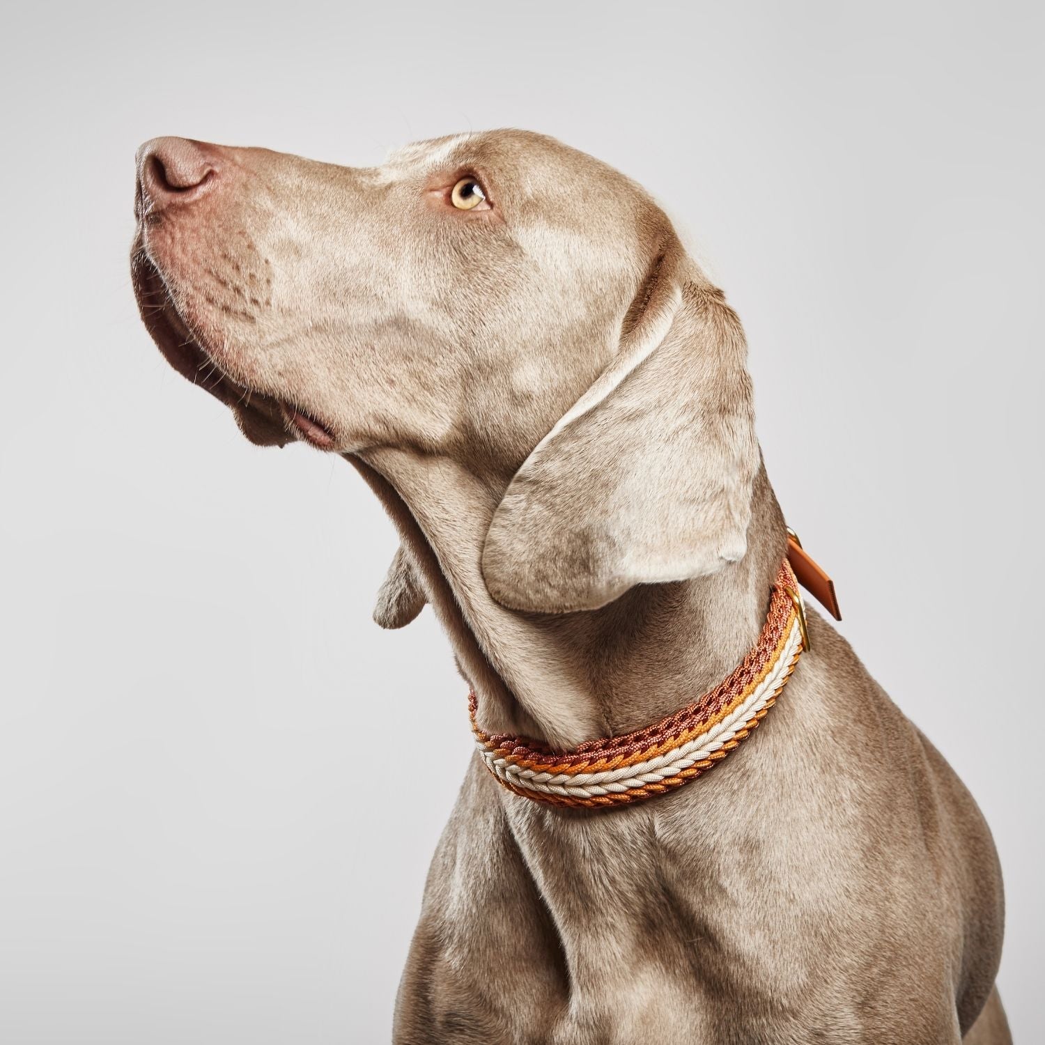 Esmeralda Spring Collar