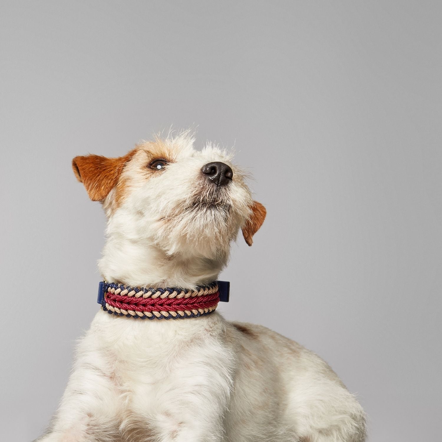 Boho Collar - Catalina