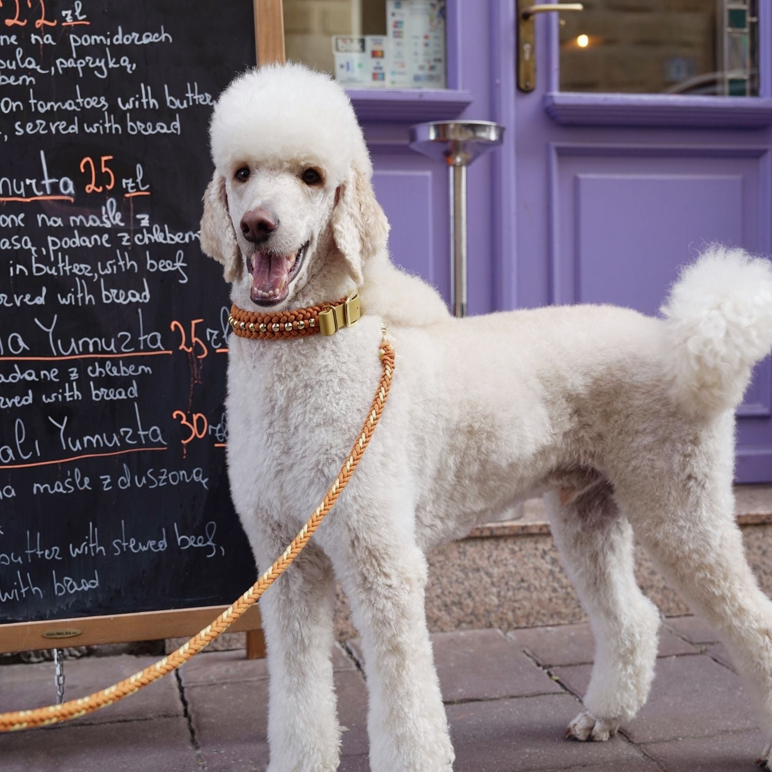 Valentina Terracotta Leash