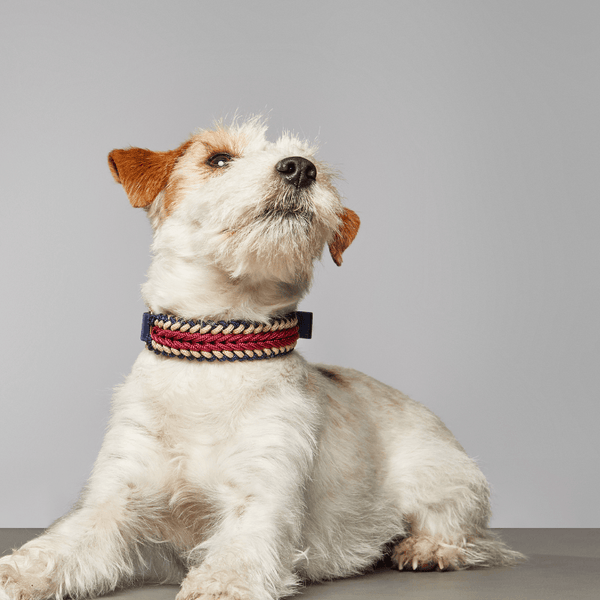 Boho Collar - Catalina