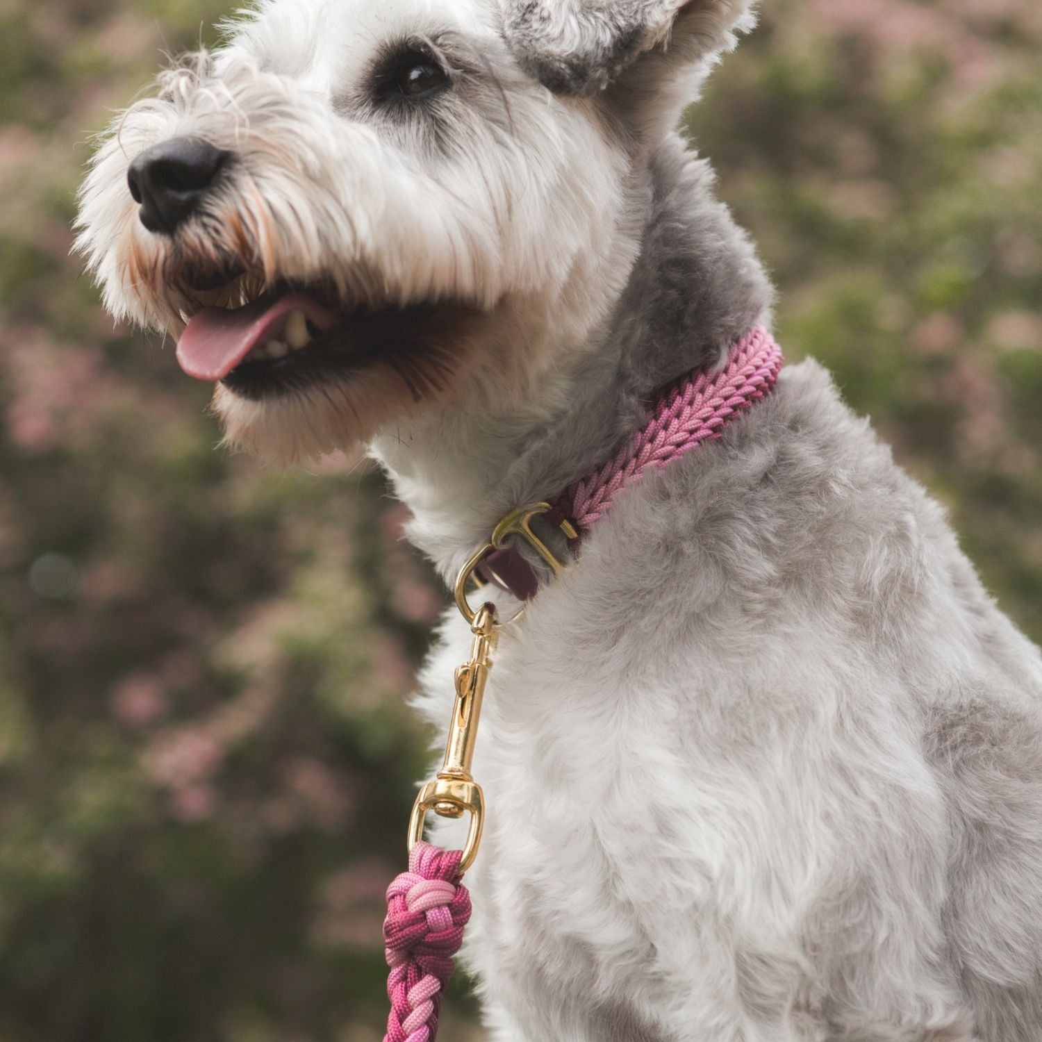 Esmeralda Pastel Collar