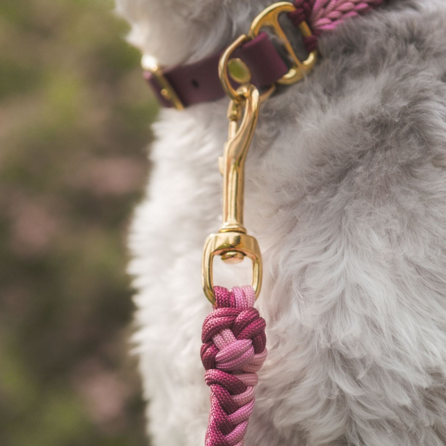 Esmeralda Pastel Leash