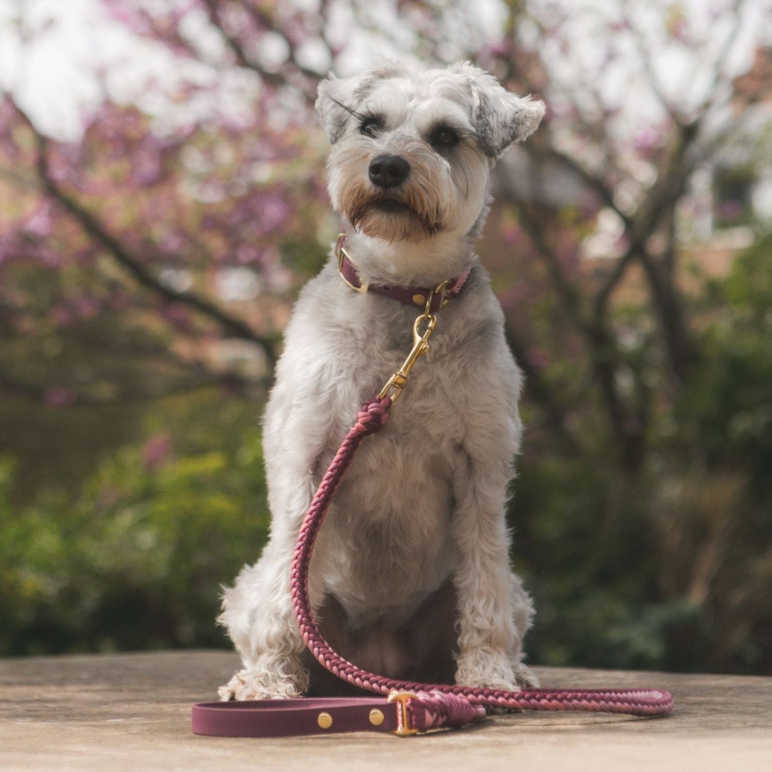 Esmeralda Pastel Collar