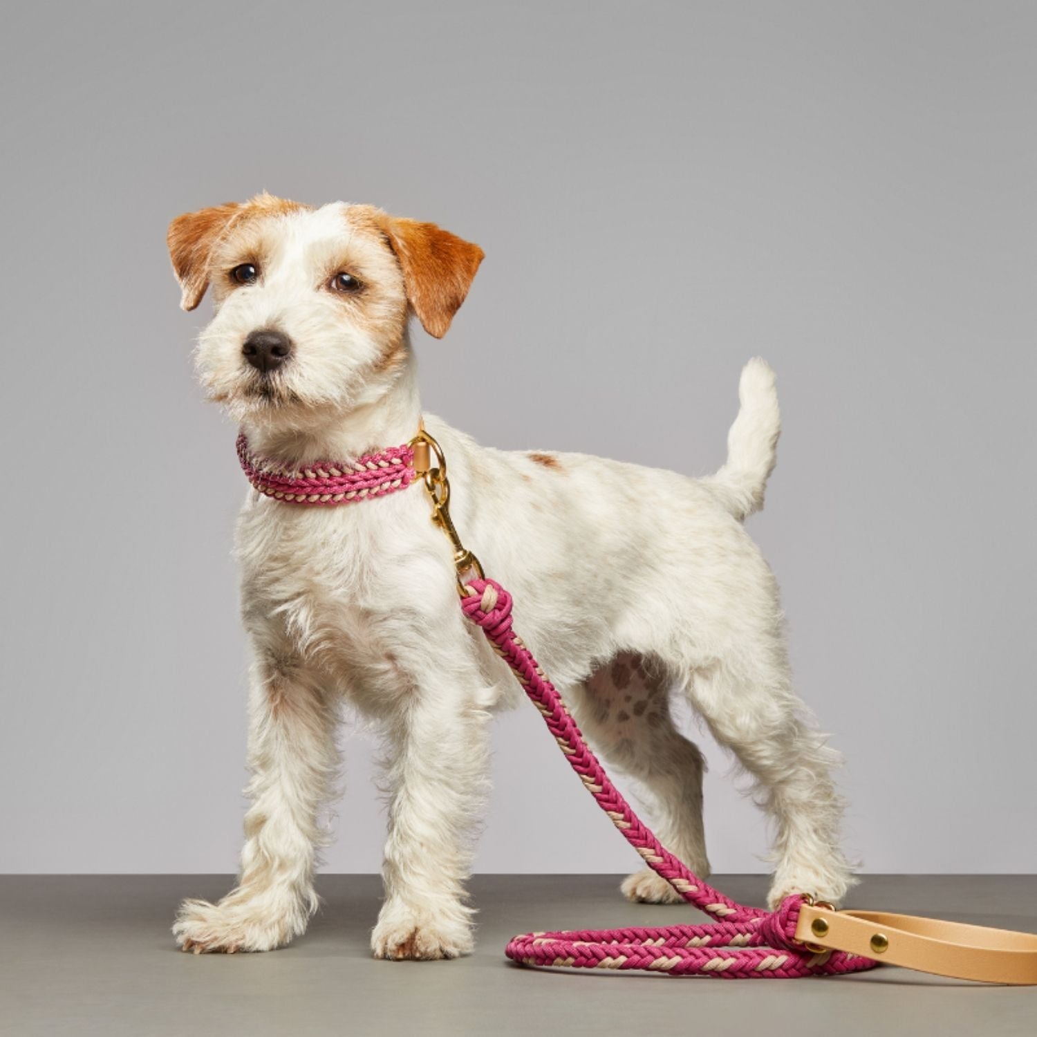 Rosie Pink Leash - Catalina