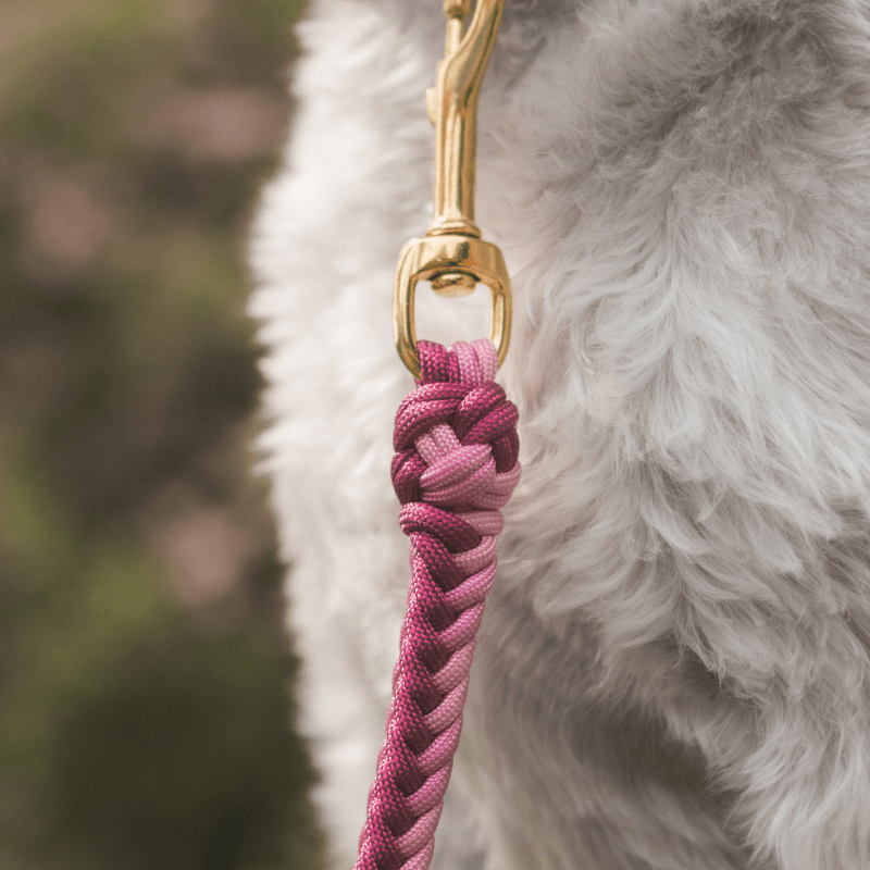Esmeralda Pastel Leash