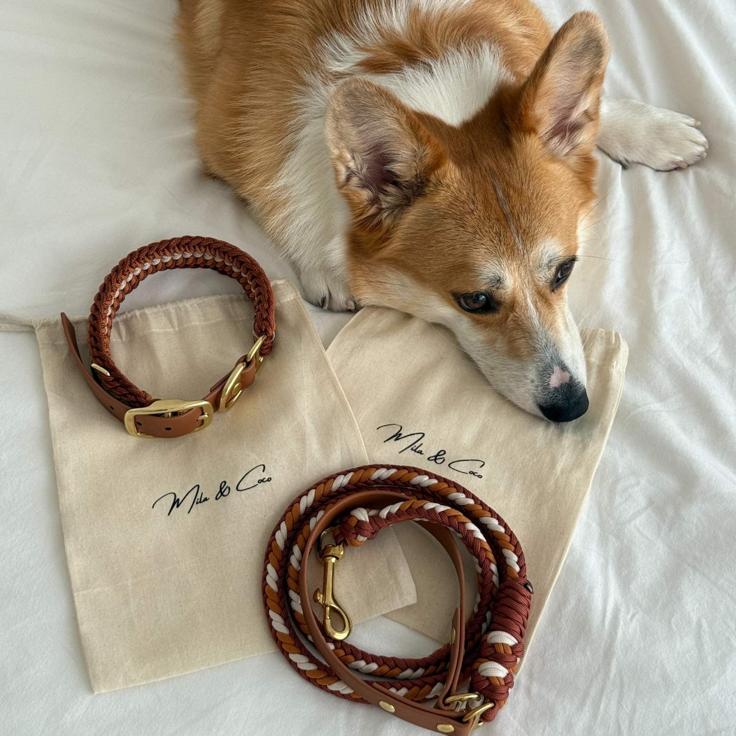 Esmeralda Spring Collar