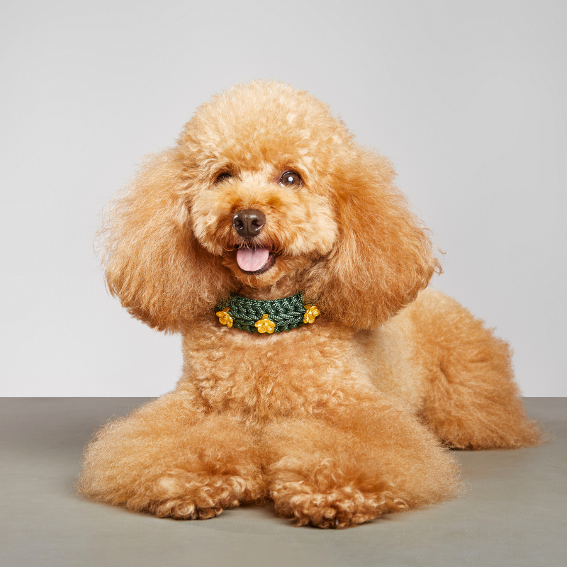 Flor Topaz Green Collar