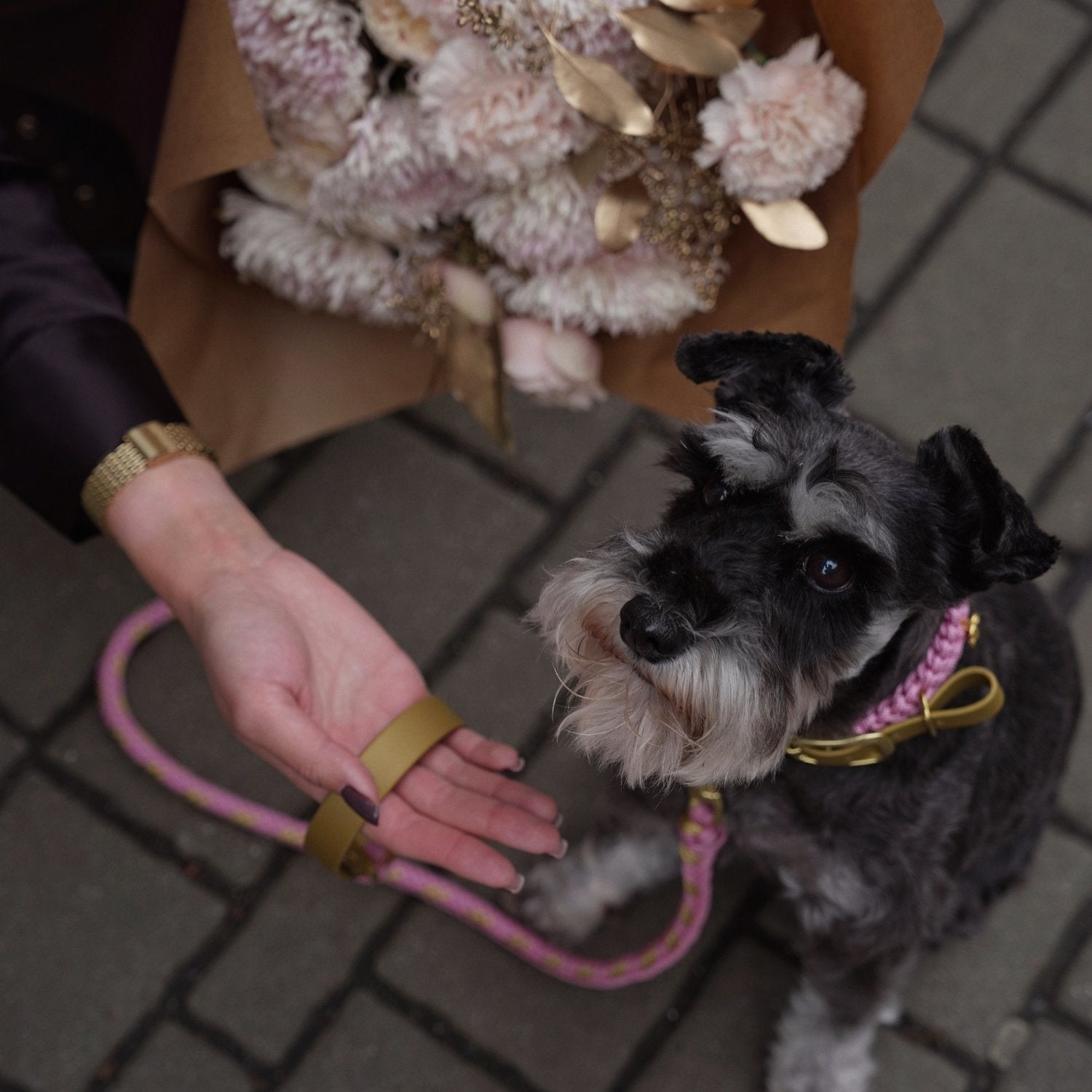 Flor Blush Pink Leash