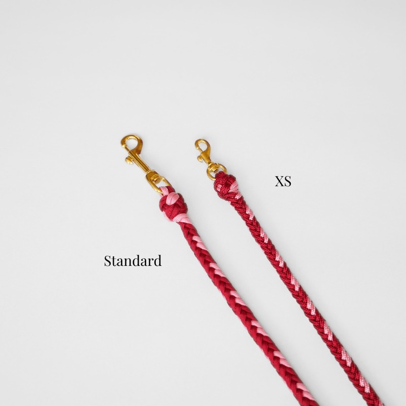 Burgundy Rose Leash - Catalina