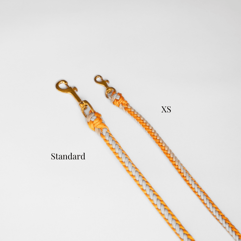 Yellow Leash - Catalina