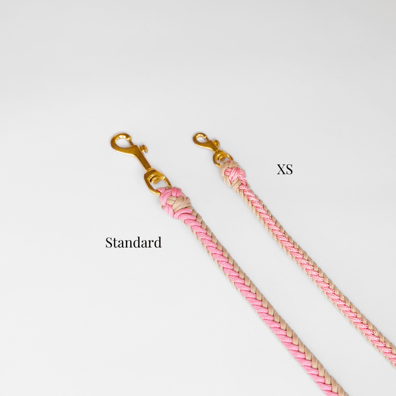 Blush Pink Leash - Catalina