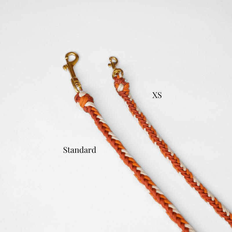 Esmeralda Spring Leash