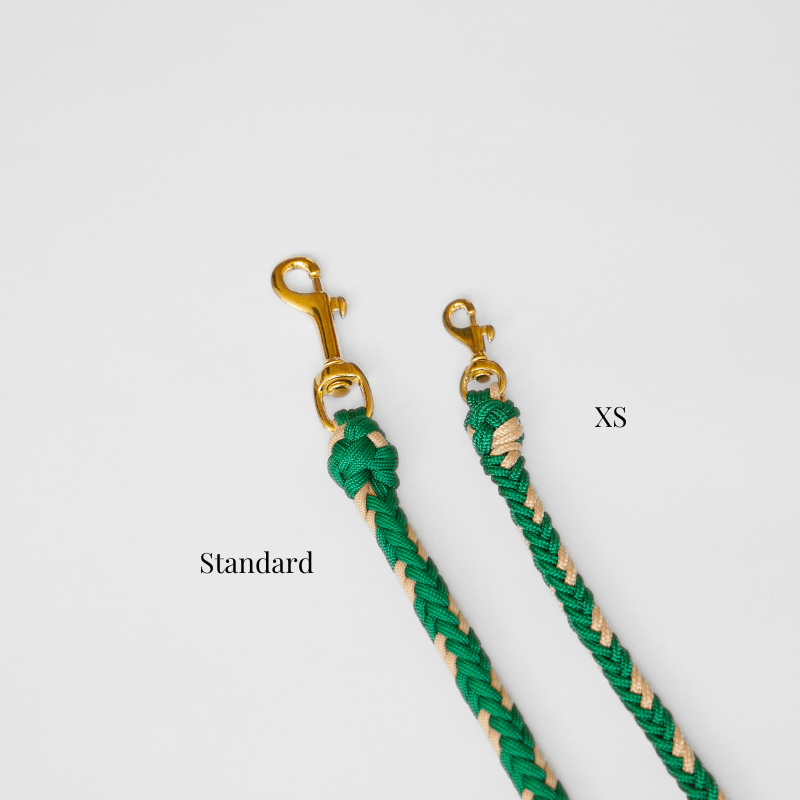 Correa Verde Emerald - Catalina