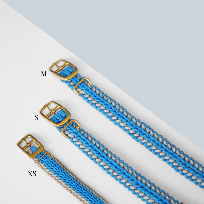 Tropical Blue Collar - Catalina