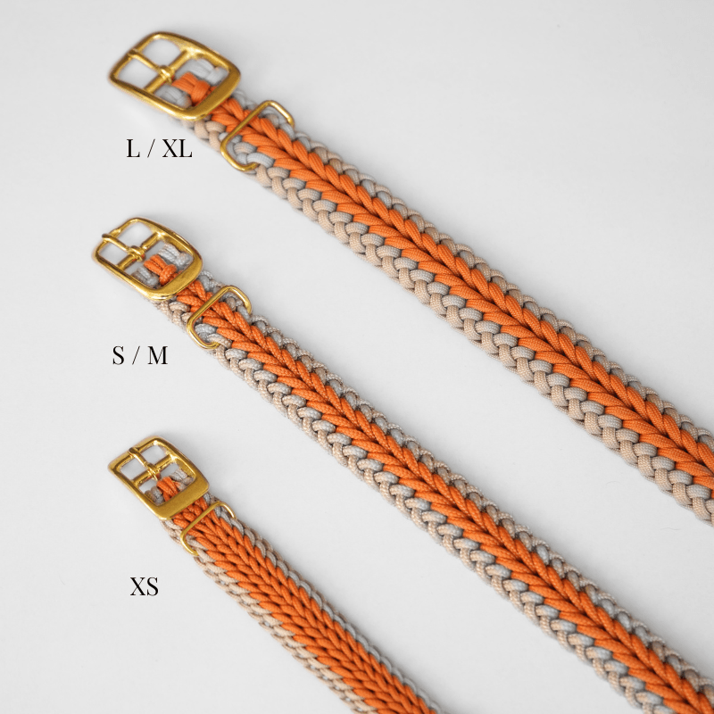 Mustard Collar - Catalina