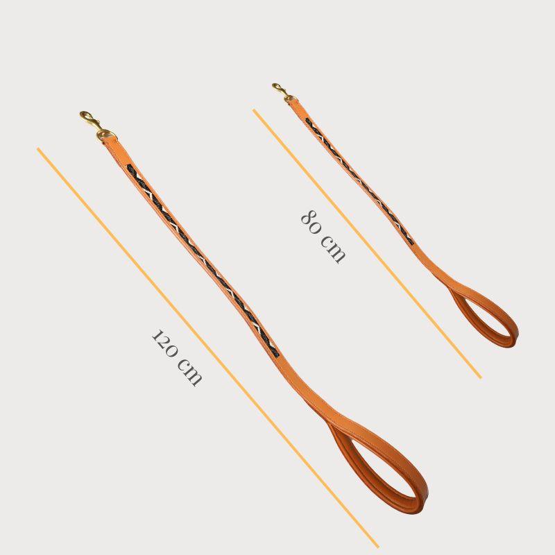 Sierra Leather Leash - Noir