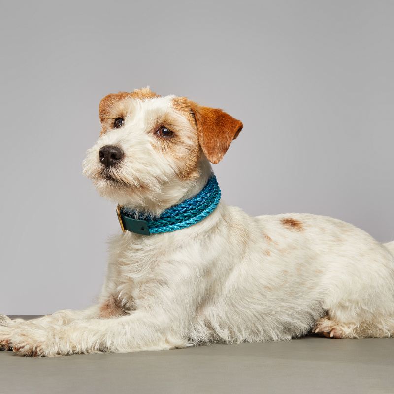 Lucia Blue Jade Collar
