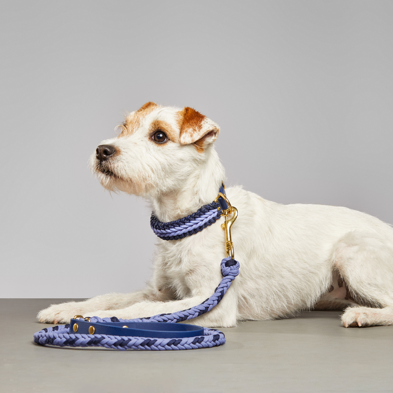 Dulce Dusk Collar