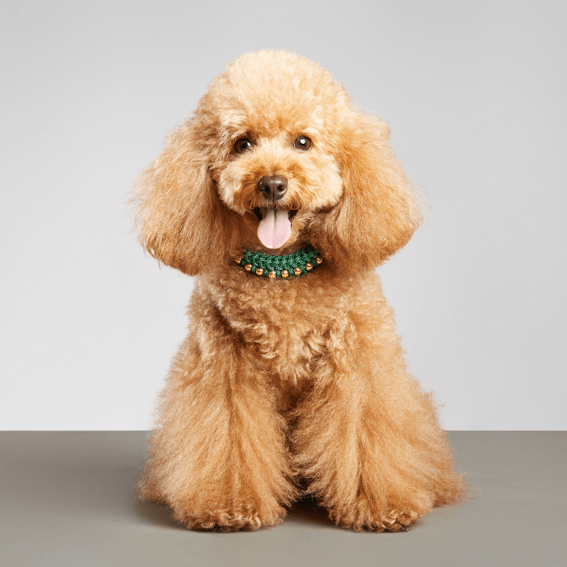 Valentina Topaz Green Collar