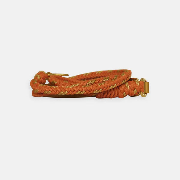 Valentina Mustard Leash