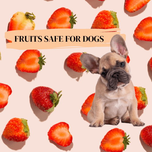 Which fruits are sales safe for dogs
