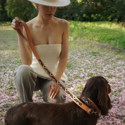 Sierra Leather Collar