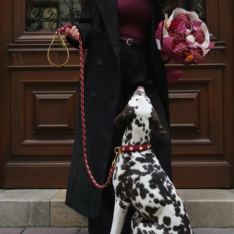 Flor Scarlet Red Leash