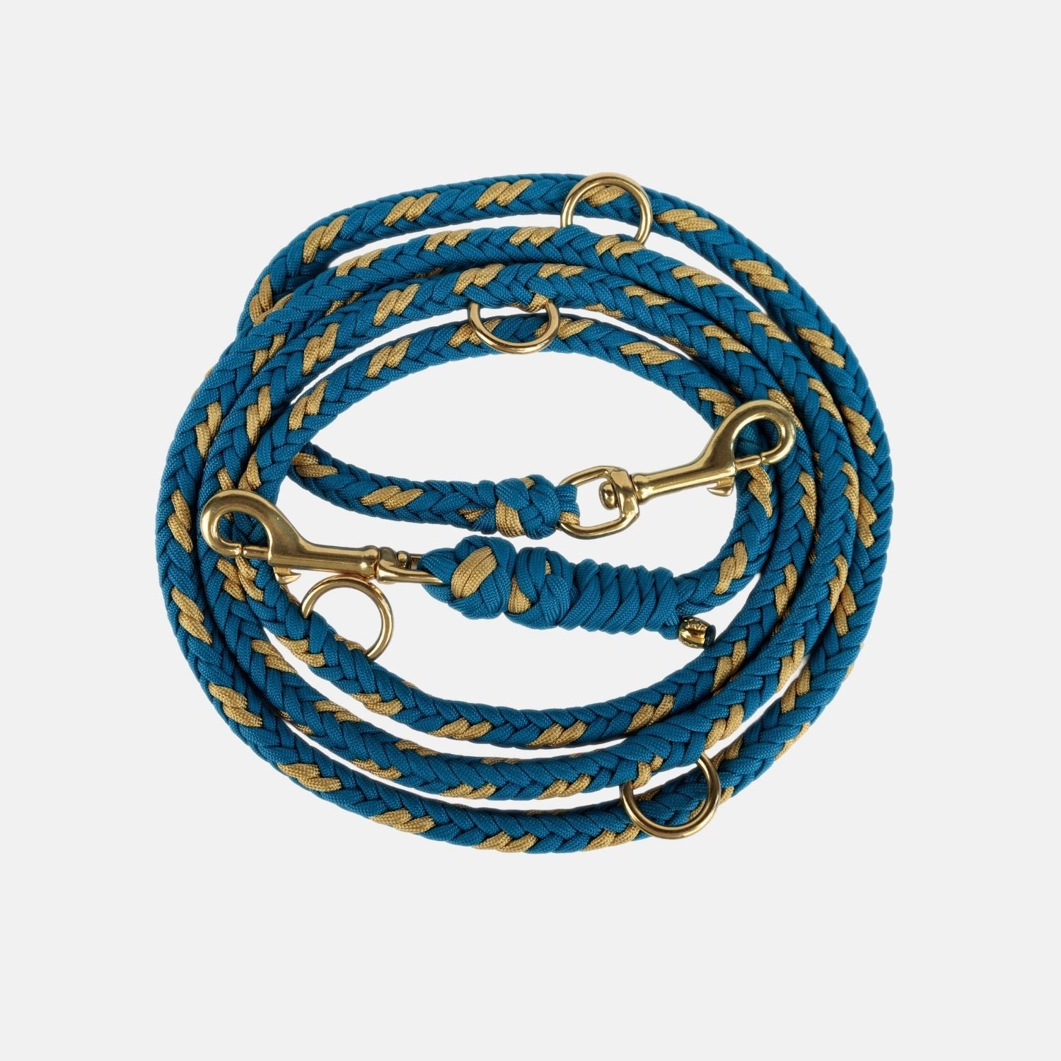Hands - Free Turquoise Leash